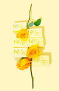 Load image into Gallery viewer, Wildflower Honey Bar Soap
